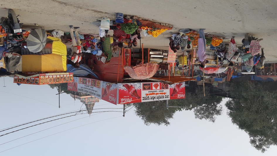 Indien_d  (254).jpg